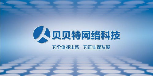 北京贝贝特网络科技 网络技术推广的领航者